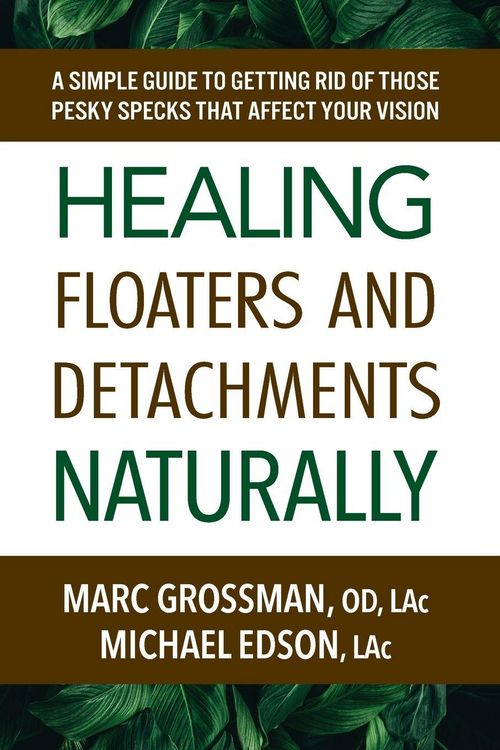Produktbild: Healing Floaters and Detachments Naturally