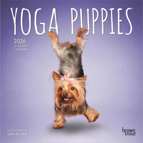 Produktbild: Yoga Puppies Official 2026 7 X 14 Inch (Hanging) Monthly Mini Wall Calendar