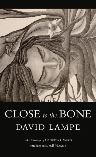 Produktbild: Close to the Bone