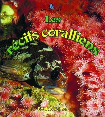 Produktbild: Les R&eacute;cifs Coralliens (Coral Reef Food Chains)