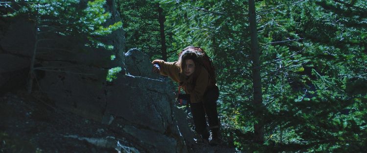 Produktbild: Dark Nature
