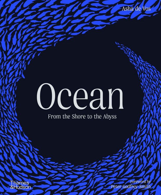 Produktbild: Ocean