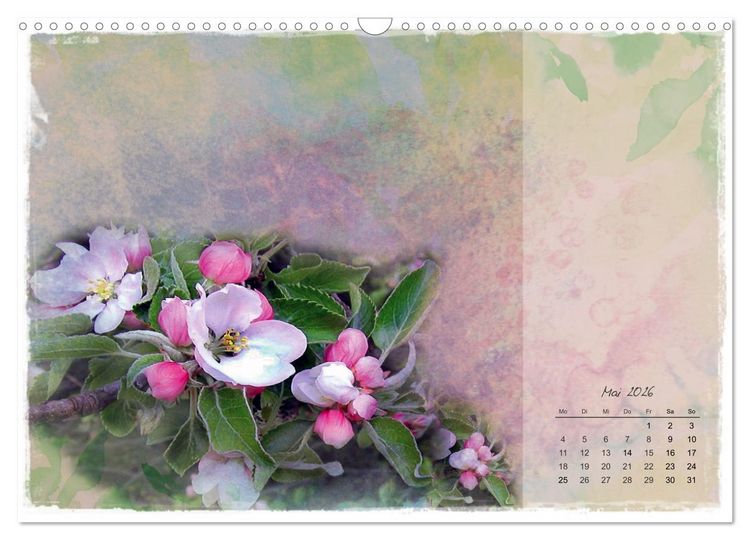 Produktbild: Bl&uuml;te trifft auf Aquarell (Wandkalender 2026 DIN A3 quer), CALVENDO Monatskalender