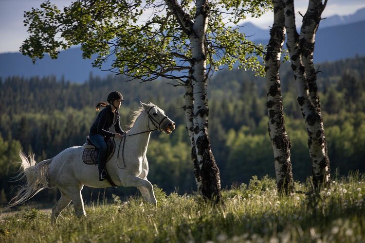 Produktbild: Heartland - Paradies f&uuml;r Pferde - Staffel 13 (Neuauflage) [4 DVDs]