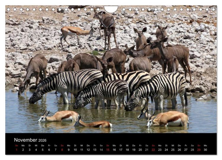 Produktbild: Eindr&uuml;cke aus Namibia (Wandkalender 2026 DIN A4 quer), CALVENDO Monatskalender