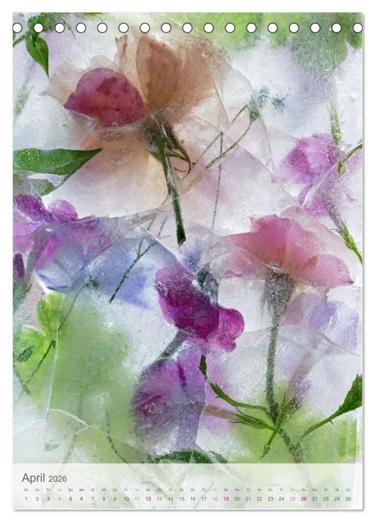 Produktbild: Blumen in Eis (Tischkalender 2026 DIN A5 hoch), CALVENDO Monatskalender