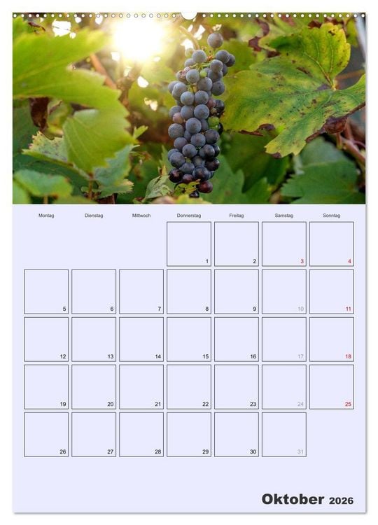 Produktbild: Obst Kalender - GESUND DURCH DAS JAHR (Wandkalender 2026 DIN A2 hoch), CALVENDO Monatskalender