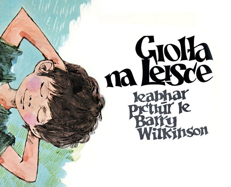 Produktbild: Giolla na Leisce