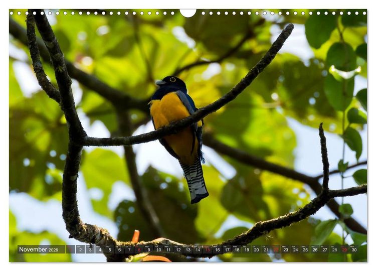 Produktbild: Amazing Costa Rica (Wall Calendar 2026 DIN A3 landscape), CALVENDO 12 Month Wall Calendar
