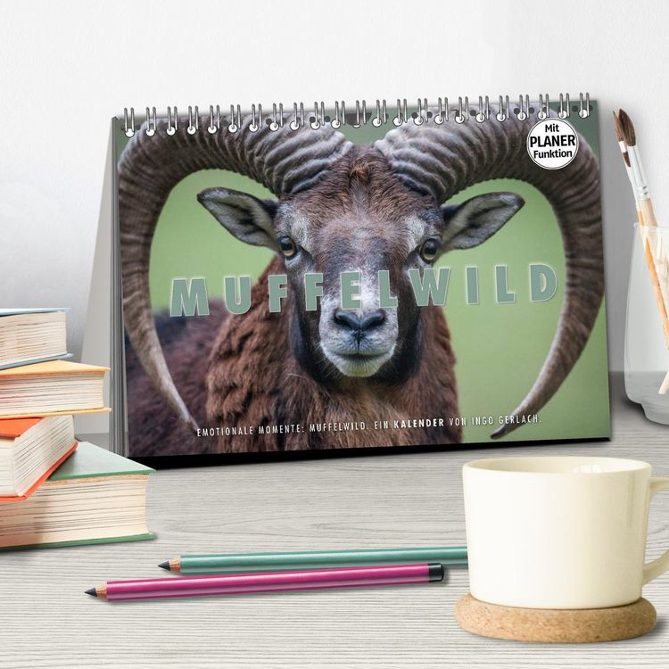 Produktbild: Emotionale Momente: Muffelwild. (Tischkalender 2026 DIN A5 quer), CALVENDO Monatskalender