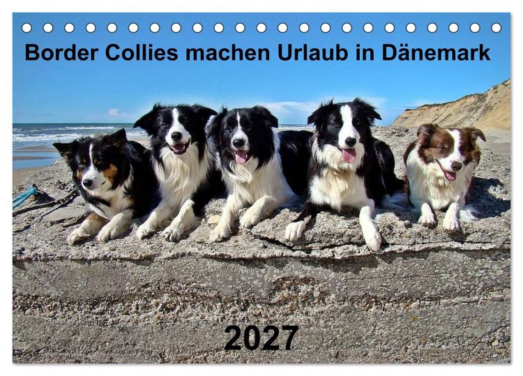 Produktbild: Border Collies machen Urlaub in D&auml;nemark (Tischkalender 2027 DIN A5 quer), CALVENDO Monatskalender