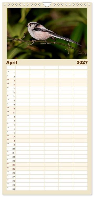 Produktbild: Familienplaner 2027 - V&ouml;gel ganz nah mit 5 Spalten (Wandkalender, 21 x 45 cm) CALVENDO