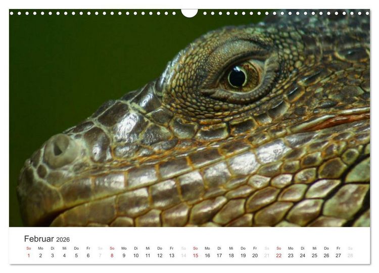 Produktbild: Das Leben der Reptilien (Wandkalender 2026 DIN A3 quer), CALVENDO Monatskalender