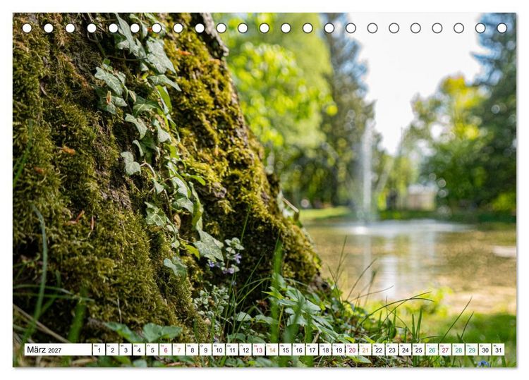 Produktbild: Natur hautnah Kalender (Tischkalender 2027 DIN A5 quer), CALVENDO Monatskalender