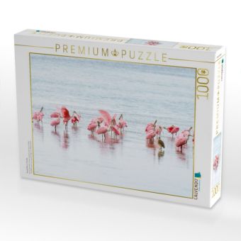 Produktbild: CALVENDO Puzzle Rosal&ouml;ffler in Florida | 1000 Teile Lege-Gr&ouml;&szlig;e 64x48cm Foto-Puzzle f&uuml;r gl&uuml;ckliche Stunden