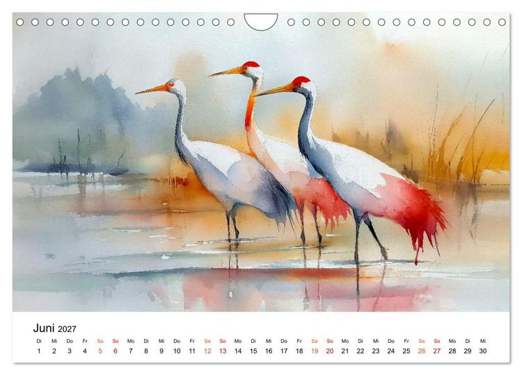 Produktbild: Kraniche zwischen Wind und Weite (Wandkalender 2027 DIN A4 quer), CALVENDO Monatskalender