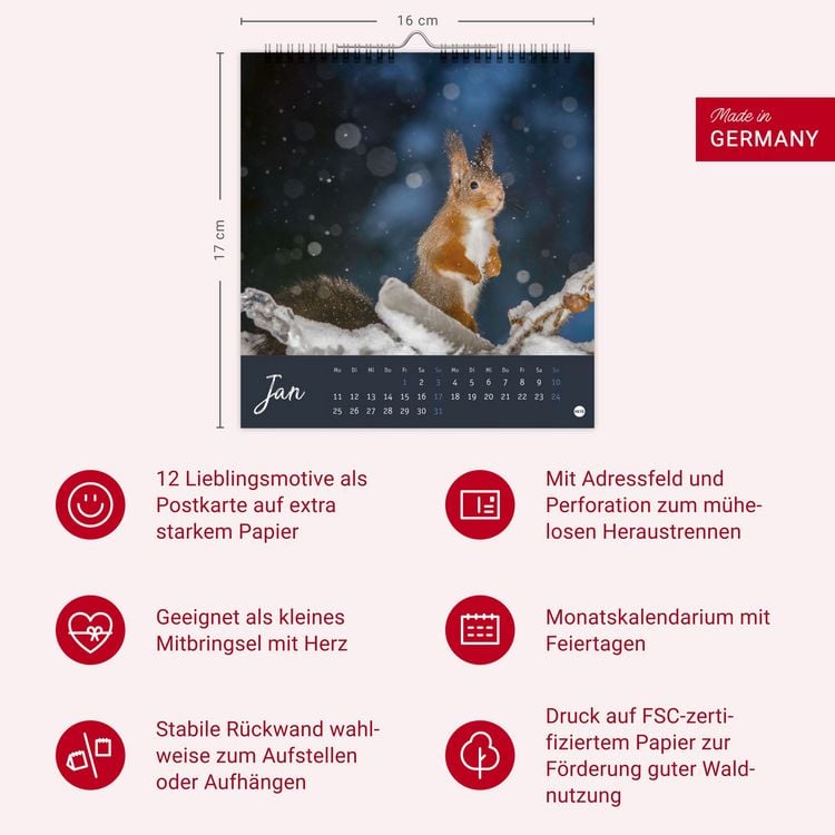 Produktbild: Eichh&ouml;rnchen Postkartenkalender 2027