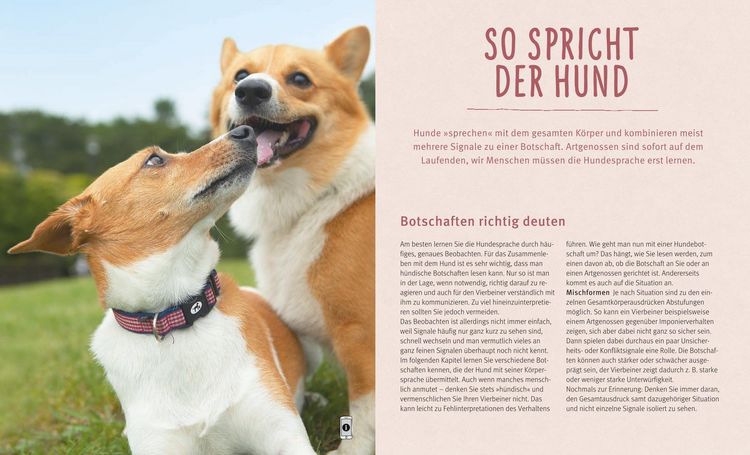Produktbild: Hundesprache