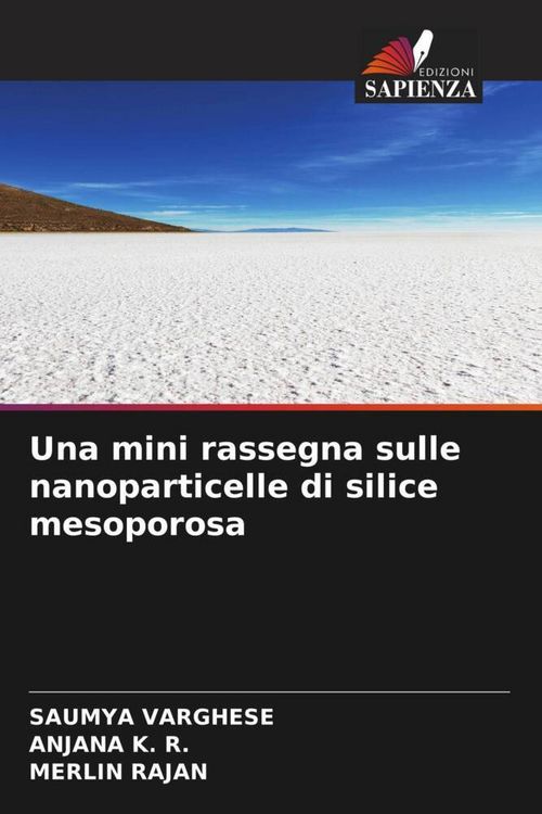 Produktbild: Una mini rassegna sulle nanoparticelle di silice mesoporosa