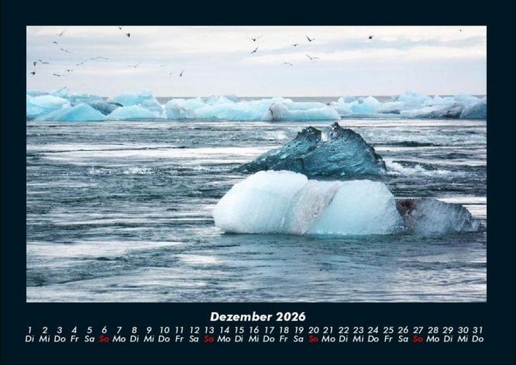 Produktbild: V&ouml;gel 2026 Fotokalender DIN A4