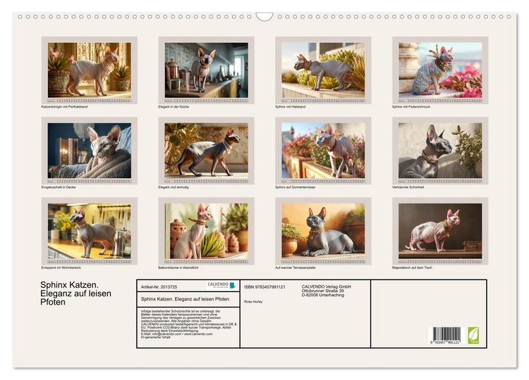 Produktbild: Sphinx Katzen. Eleganz auf leisen Pfoten (Wandkalender 2026 DIN A2 quer), CALVENDO Monatskalender