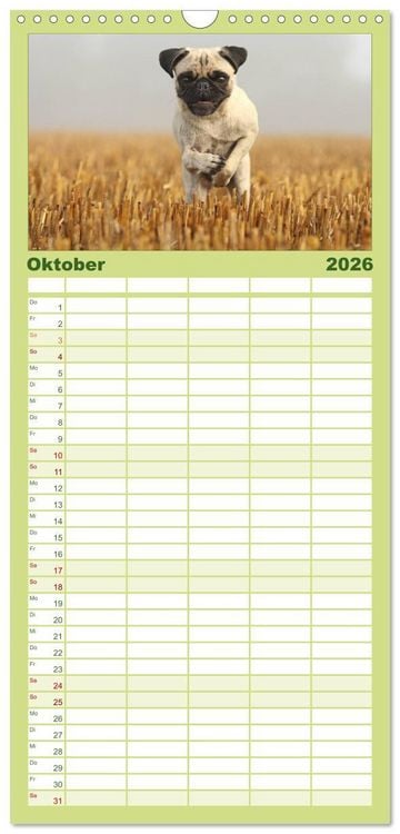 Produktbild: Familienplaner 2026 - Der MOPS-Kalender mit 5 Spalten (Wandkalender, 21 x 45 cm) CALVENDO