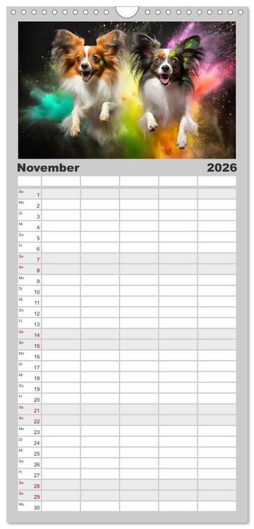 Produktbild: Familienplaner 2026 - Holi Pulver - Doppelte Action mit 5 Spalten (Wandkalender, 21 x 45 cm) CALVENDO