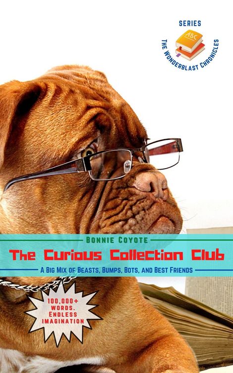 Produktbild: The Curious Collection Club