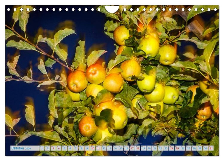 Produktbild: Sch&ouml;nes S&uuml;dtirol (Wandkalender 2026 DIN A4 quer), CALVENDO Monatskalender
