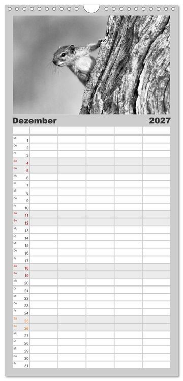 Produktbild: Familienplaner 2027 - Afrika Schwarz - Weiss mit 5 Spalten (Wandkalender, 21 x 45 cm) CALVENDO