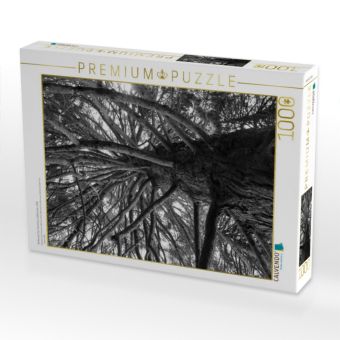Produktbild: CALVENDO Puzzle Redwood, San Francisco, Kalifornien, USA | 1000 Teile Lege-Gr&ouml;&szlig;e 64x48cm Foto-Puzzle f&uuml;r gl&uuml;ckliche Stunden