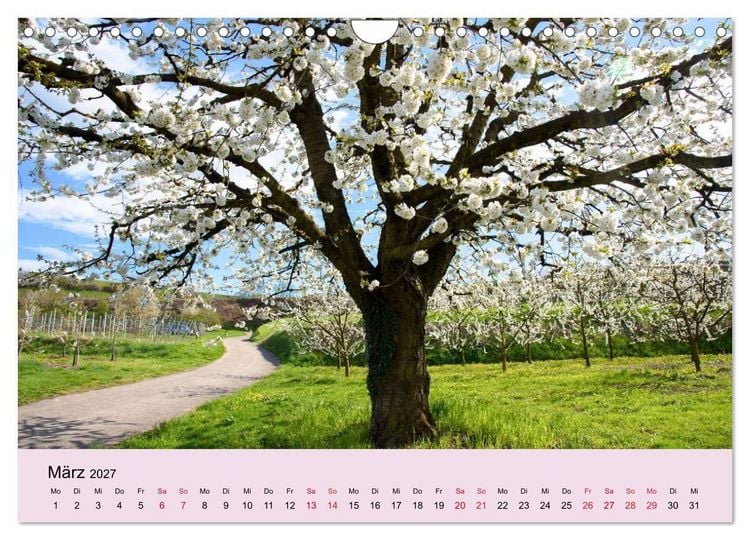 Produktbild: Augenblicke im Kaiserstuhl (Wandkalender 2027 DIN A4 quer), CALVENDO Monatskalender
