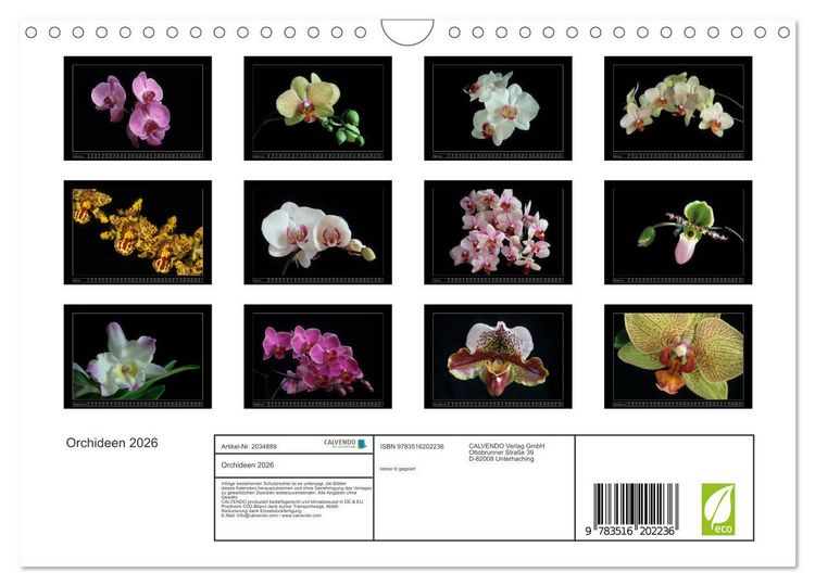 Produktbild: Orchideen 2026 (Wandkalender 2026 DIN A4 quer), CALVENDO Monatskalender