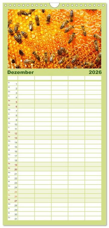 Produktbild: Familienplaner 2026 - Die Welt der flei&szlig;igen Bienen mit 5 Spalten (Wandkalender, 21 x 45 cm) CALVENDO