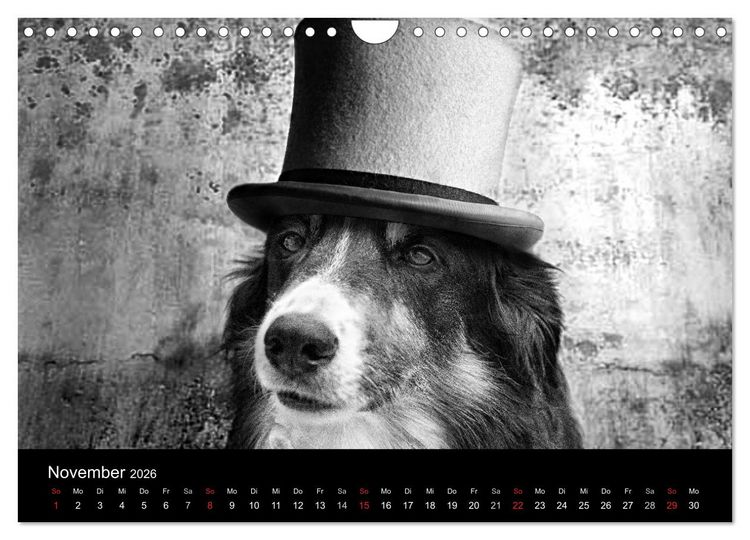Produktbild: H&uuml;tehunde (Wandkalender 2026 DIN A4 quer), CALVENDO Monatskalender