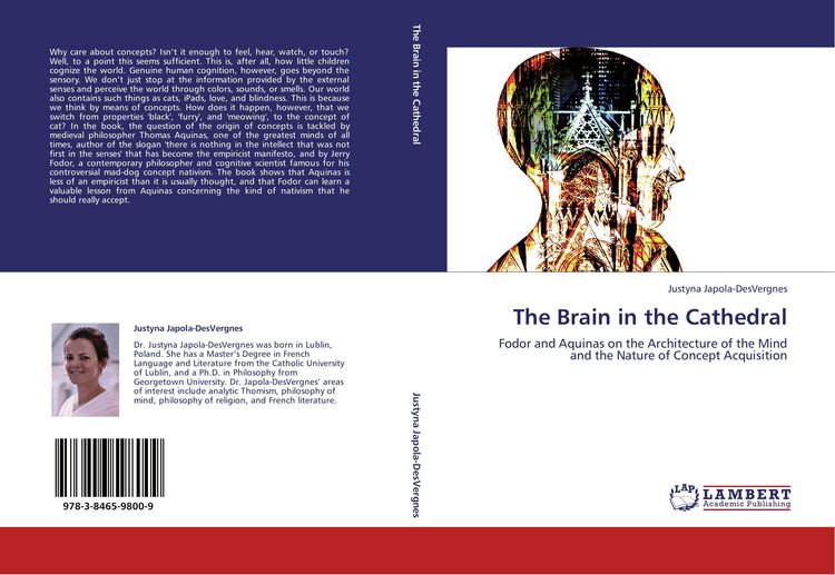 Produktbild: The Brain in the Cathedral