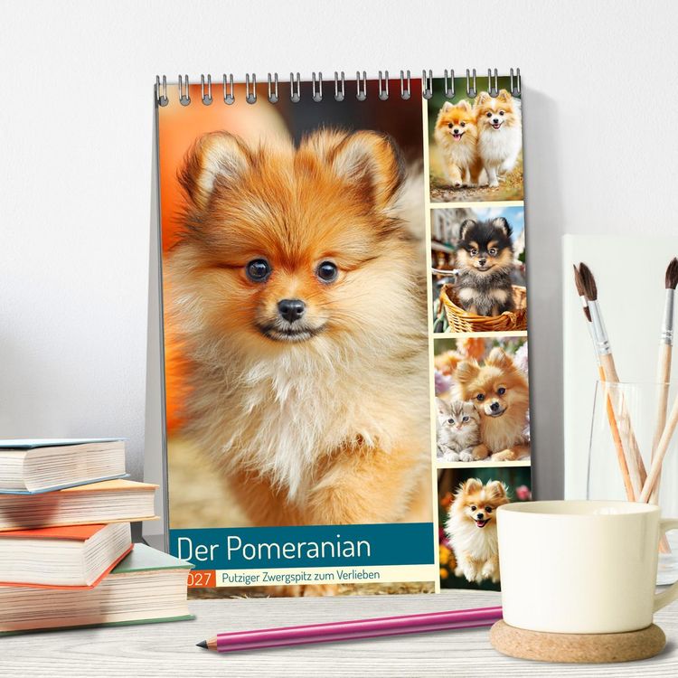 Produktbild: Der Pomeranian. Putziger Zwergspitz zum Verlieben (Tischkalender 2027 DIN A5 hoch), CALVENDO Monatskalender