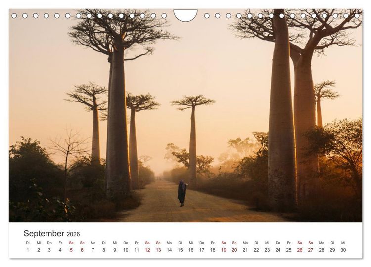 Produktbild: Madagaskar - Eine au&szlig;ergew&ouml;hnliche und wundersch&ouml;ne Insel. (Wandkalender 2026 DIN A4 quer), CALVENDO Monatskalender