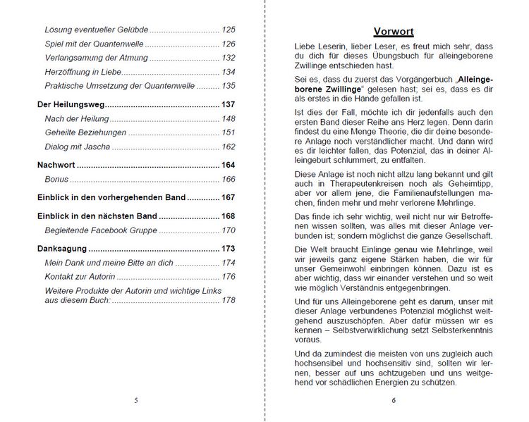 Produktbild: Alleingeborener Zwilling auf dem Weg in die Selbstheilung