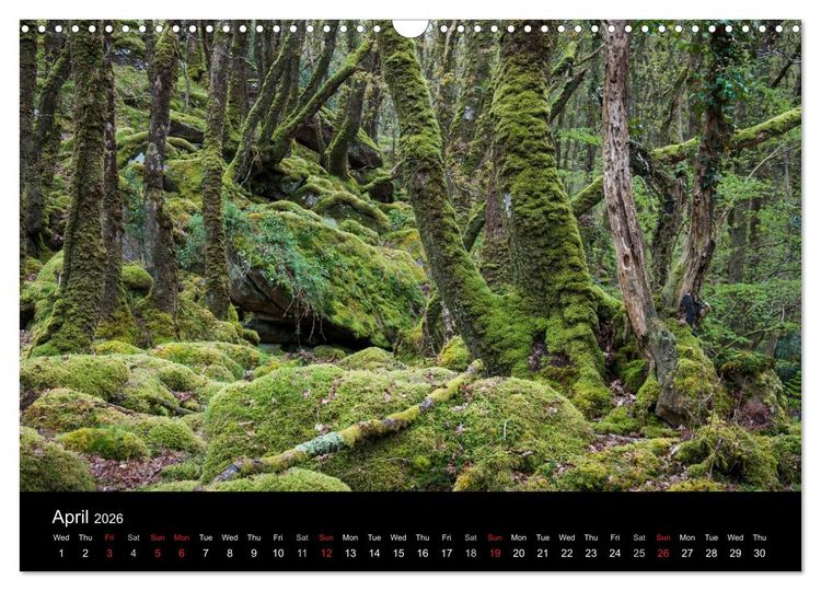 Produktbild: Scenes from Pembrokeshire (Wall Calendar 2026 DIN A3 landscape), CALVENDO 12 Month Wall Calendar