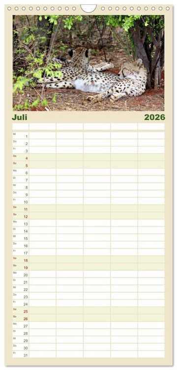 Produktbild: Familienplaner 2026 - Roadtrip in Namibia mit 5 Spalten (Wandkalender, 21 x 45 cm) CALVENDO
