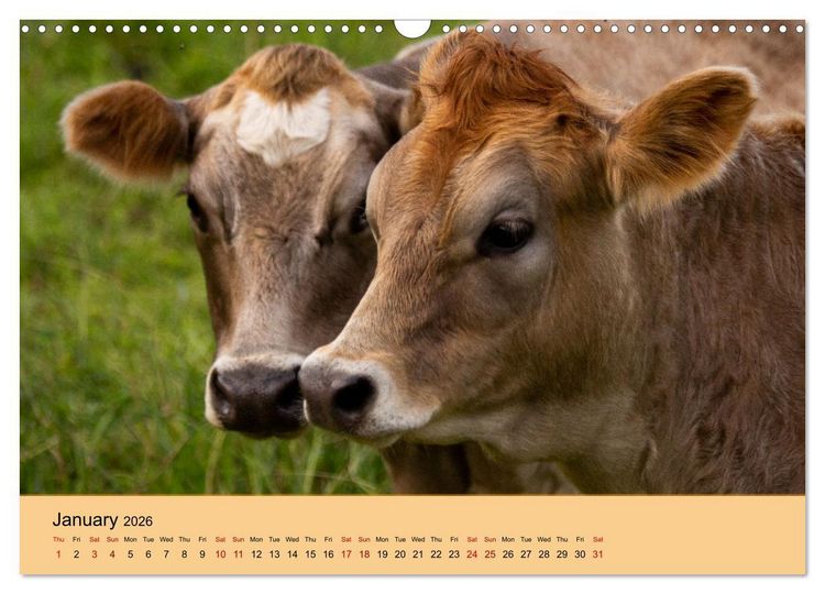 Produktbild: Our farm animals (Wall Calendar 2026 DIN A3 landscape), CALVENDO 12 Month Wall Calendar