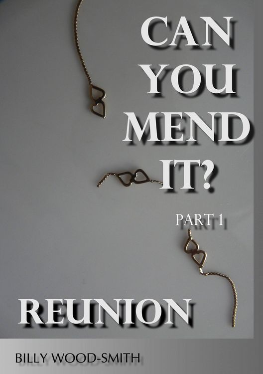Produktbild: Can You Mend It? - Part 1: Reunion ('Can You Mend It?' Series, #1)