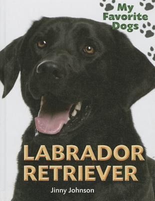 Produktbild: Labrador Retriever