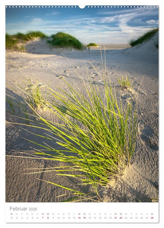 Produktbild: Amrum - Das Gesicht der Nordsee (Wandkalender 2026 DIN A2 hoch), CALVENDO Monatskalender