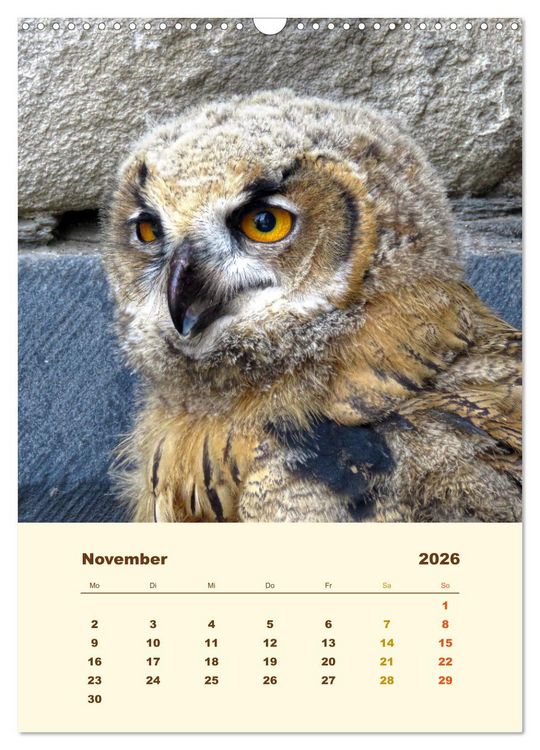 Produktbild: Uhu, die Faszination bernsteinfarbener Augen (Wandkalender 2026 DIN A3 hoch), CALVENDO Monatskalender
