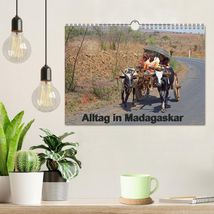 Produktbild: Alltag in Madagaskar (Wandkalender 2026 DIN A4 quer), CALVENDO Monatskalender