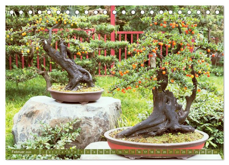 Produktbild: Gartenkunst aus Japan: Bonsai (Tischkalender 2026 DIN A5 quer), CALVENDO Monatskalender