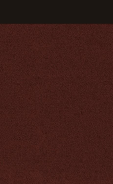 Produktbild: Gel&auml;chter im Dunkel / Verzweiflung / Camera obscura