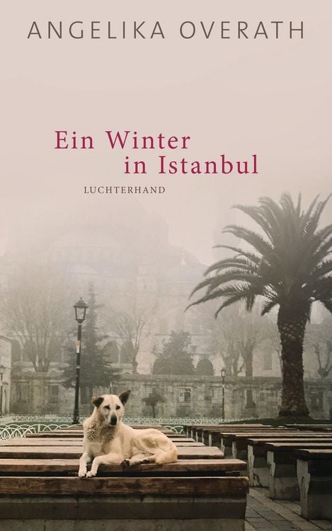 Produktbild: Ein Winter in Istanbul